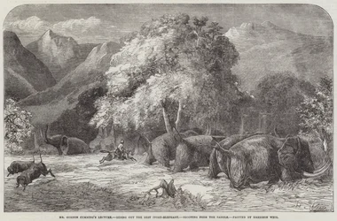 Conferencia del Sr. Gordon Cumming, montando el mejor elefante de marfil, disparando desde la silla